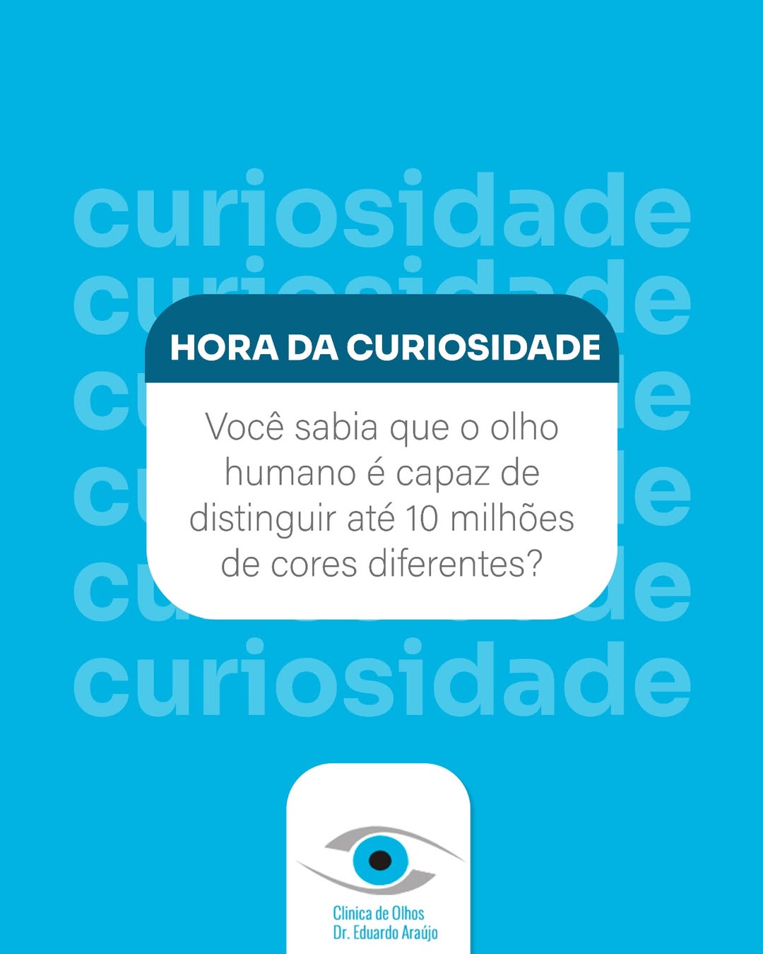 Hora da curiosidade